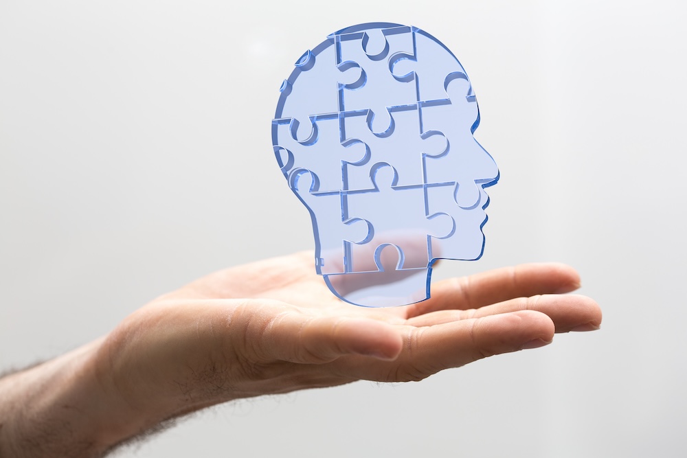 image of a brain puzzle piece